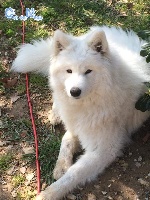 Liouns Blanco Llana of Can de Nèou